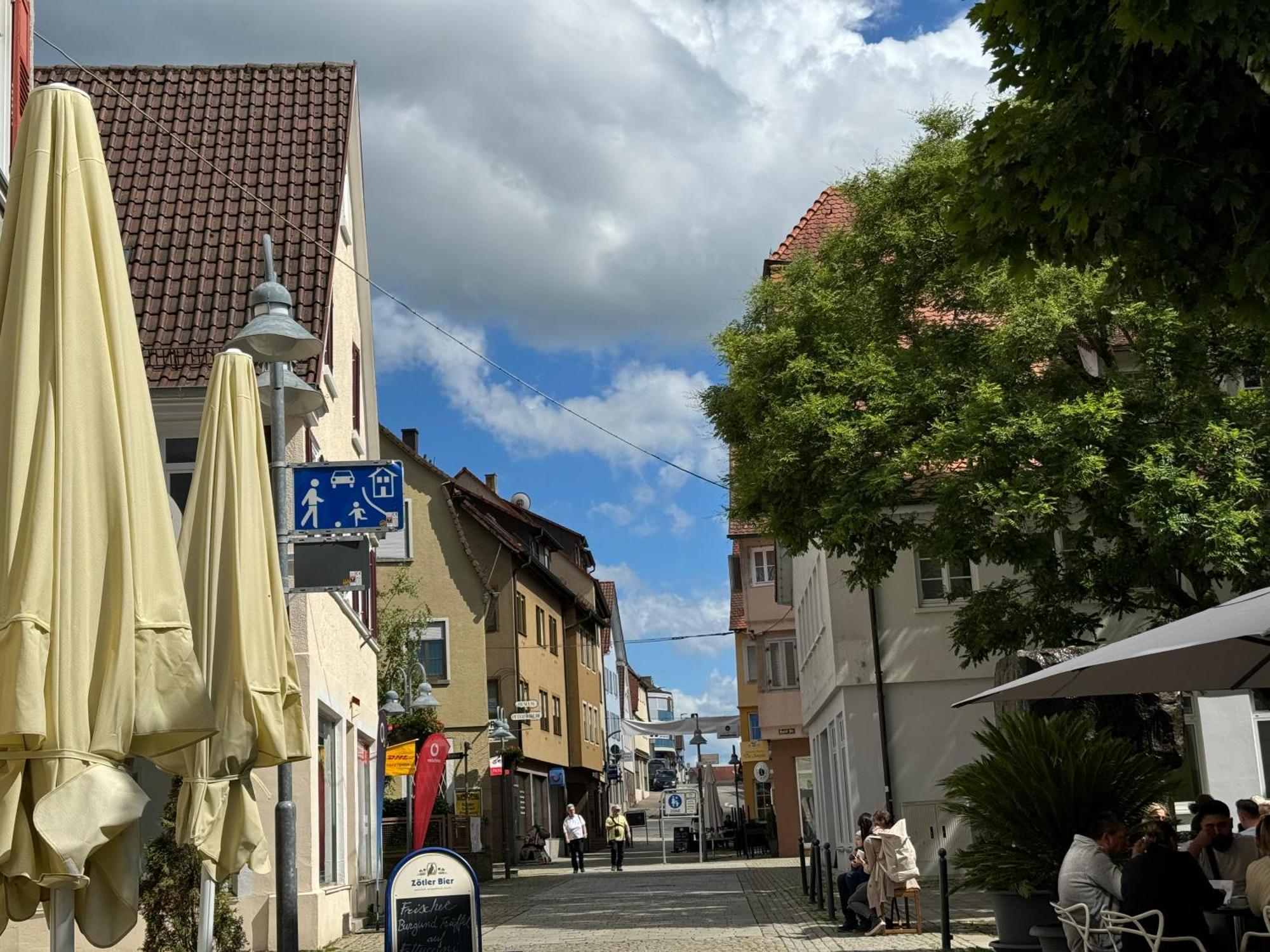 90Qm 4-Zimmer-Wohnung - Apartment Friedrichstrasse Vaihingen an der Enz Eksteriør bilde